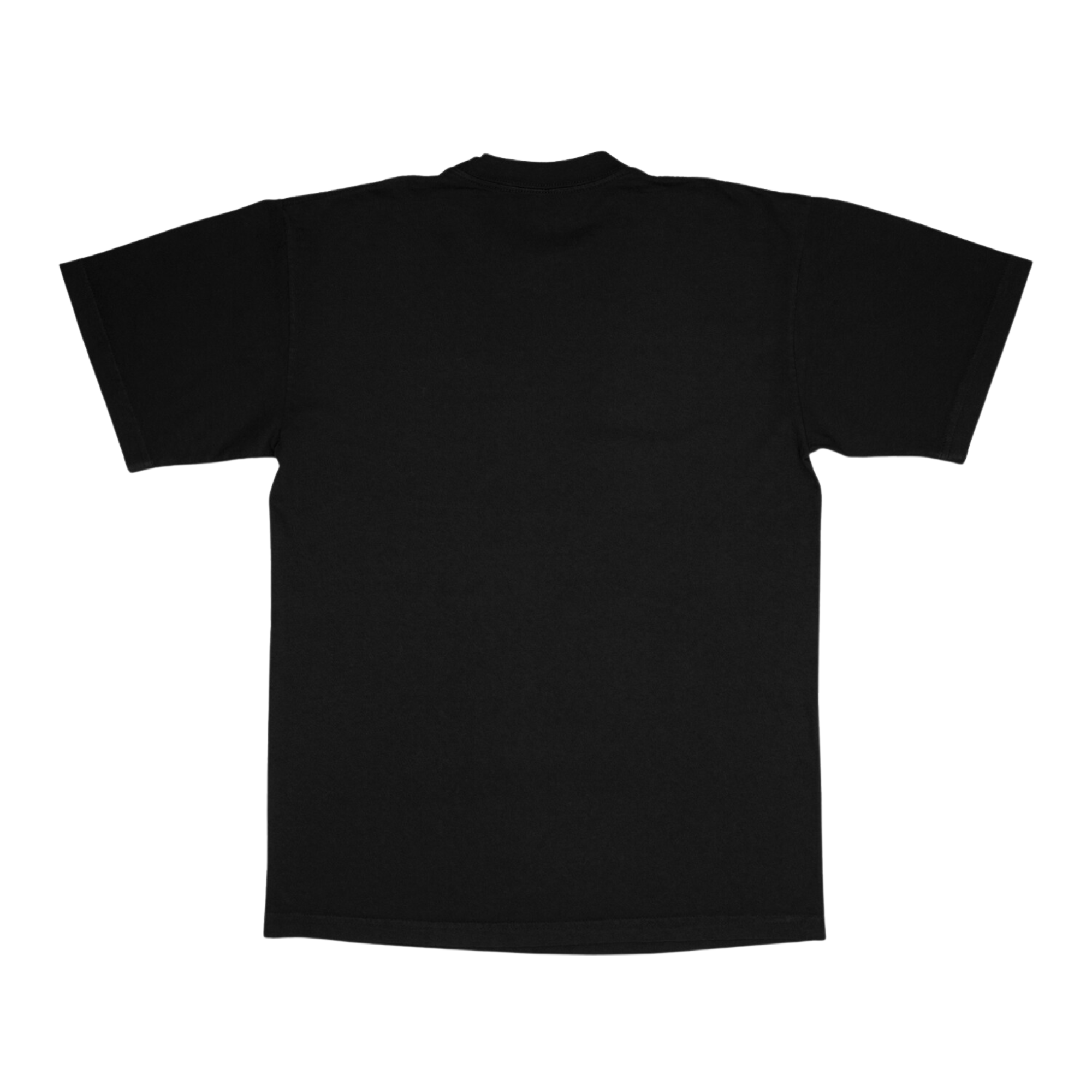 Mascot Dropout Tee - Nebraska Tee - Detail | We're Back Co.