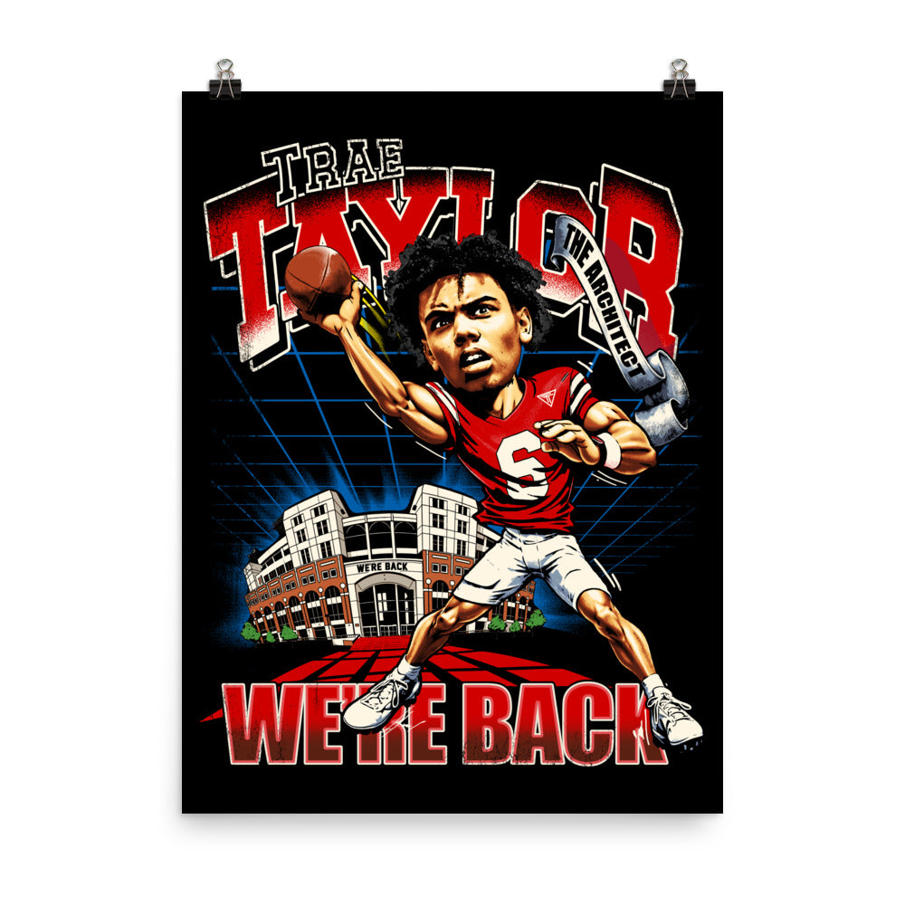 The Architect poster — museum-quality matte print of Trae Taylor caricature graphic, framed on a Lincoln apartment wall